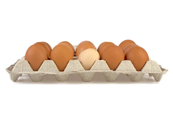 Como Todos Los Demás Huevos Pollo Una Bandeja Sobre Fondo — Foto de Stock
