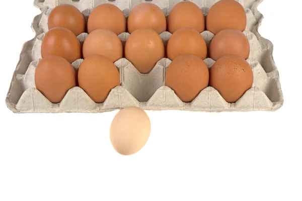 Всі Інші Курячі Яйця Лотку Білому Тлі — стокове фото