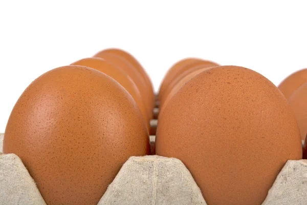 Huevos Pollo Una Bandeja Primer Plano Sobre Fondo Blanco — Foto de Stock