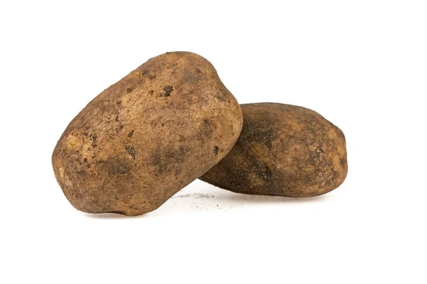 Twee Vuile Aardappelen Een Witte Achtergrond — Stockfoto