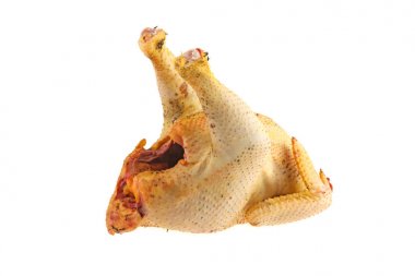 koparıp tavuk, et beyaz arka plan üzerinde izole.