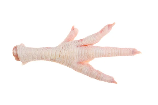 흰 배경에 있는 닭발 — 스톡 사진