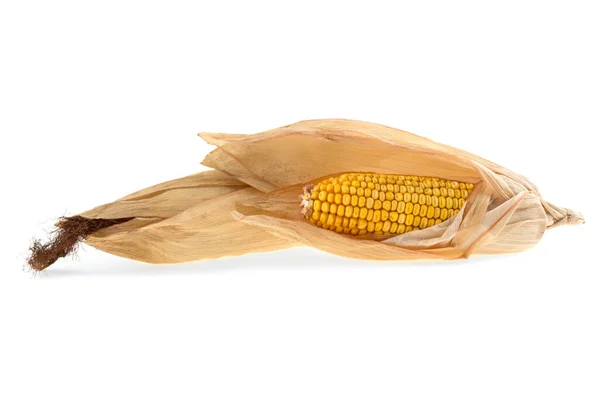 Sucha Kukurydza Białym Tle Izolowane — Zdjęcie stockowe