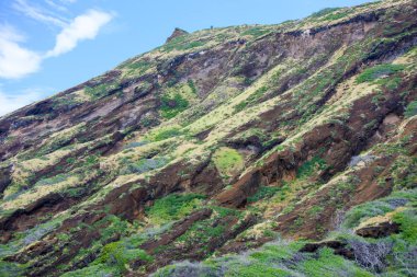 koko krater, oahu, hawaii
