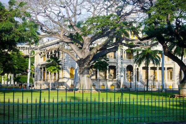 Δέντρα γύρω από το παλάτι στη Χονολουλού, Χαβάη — Φωτογραφία Αρχείου