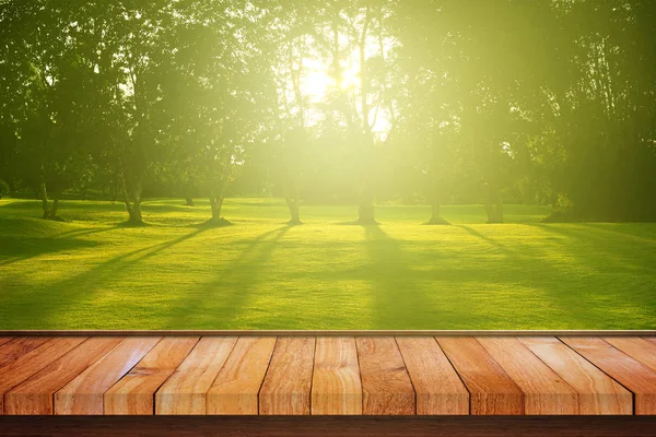 Trä golvpaneler med sunshine ray genom skogen — Stockfoto