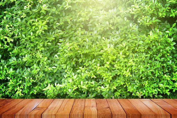 Wood floor with green plant background — Stock Photo, Image