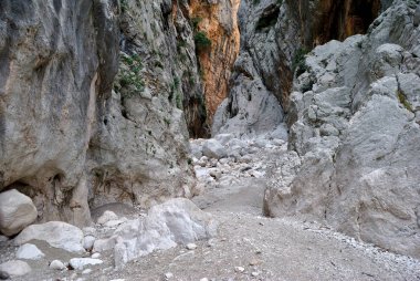 Gorropu kanyonun dibinde