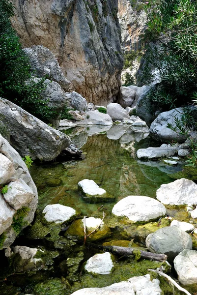 Rivière Flumineddu Dans Canyon Gorropu — Photo