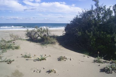 Feraxi plajı manzarası