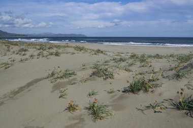 Feraxi plajı manzarası