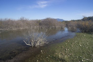 Monte Pranu Gölü Manzarası