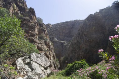Bidda Mores Kanyonu Manzarası