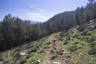 Punta Serpedd manzarası