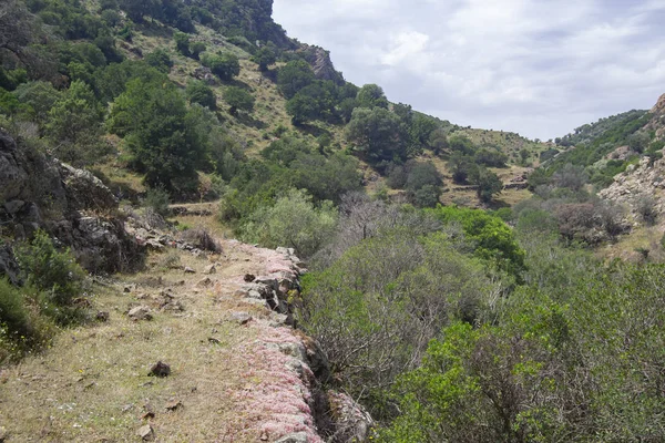 Gümüş Yolu 'nun Görünümü