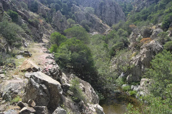 Gümüş Yolu 'nun Görünümü