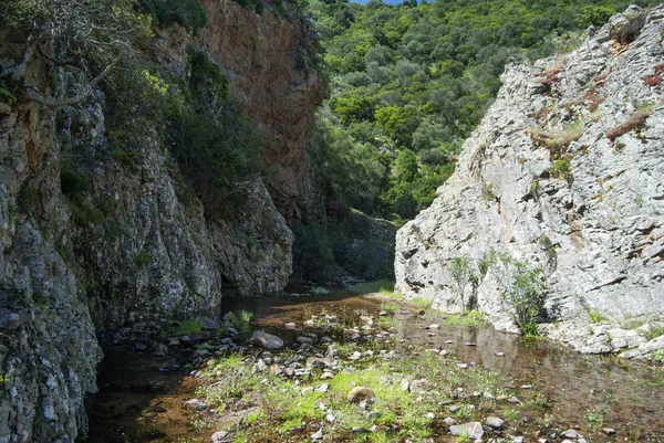 Pemandangan Dari Bidda Mores Canyon — Stok Foto