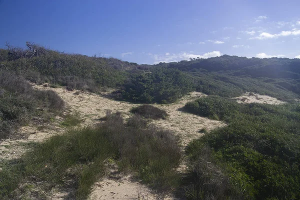 Песчаные Дюны Пунта Арены — стоковое фото