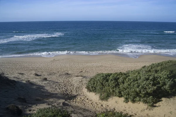 プンタ サアリーナのビーチの眺め — ストック写真