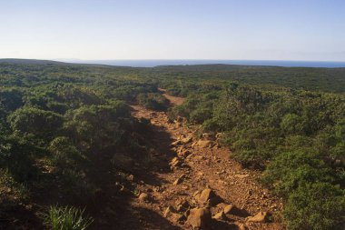 Buggerru 'dan Cala Domestica' ya giden yol