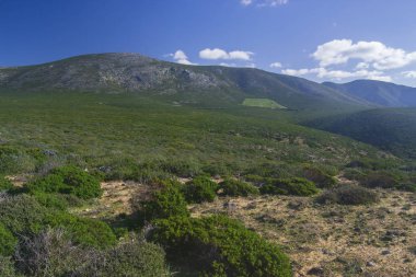 Cala Domestica 'nın taşrası