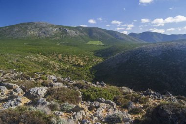 Cala Domestica 'nın taşrası