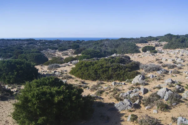 Cala Domestica Nın Kum Tepeleri — Stok fotoğraf