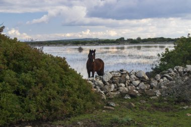 Setzu Giara, Puali Nurazzassu 'nun manzarası