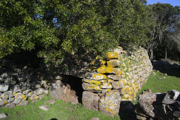 Refugio Los Cerdos Llamado Aurra Setzu Giara — Foto de Stock