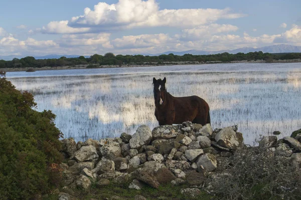 Setzu Giara, Puali Nurazzassu 'nun manzarası