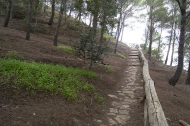 The path to Las Plassas castle ruins
