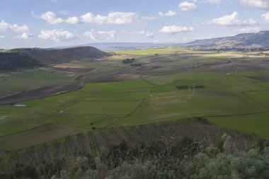 Landscape of Marmilla from Las Plassas