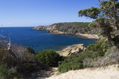 Porto Pineddu kıyısında.