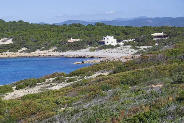 Kust Van Porto Pineddu — Stockfoto