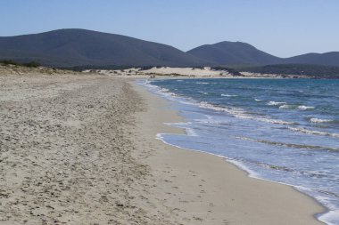 Porto Pino plajı manzarası