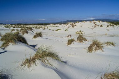 Is Arenas Biancas 'ın beyaz kumulları, Teulada
