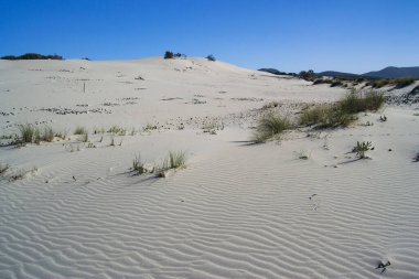 Is Arenas Biancas 'ın beyaz kumulları, Teulada