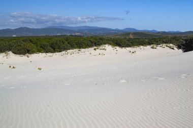 Is Arenas Biancas 'ın beyaz kumulları, Teulada