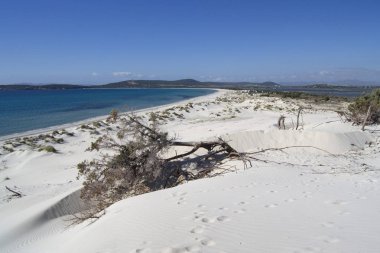 Is Arenas Biancas 'ın beyaz kumulları, Teulada