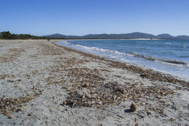 Porto Pino plajı manzarası