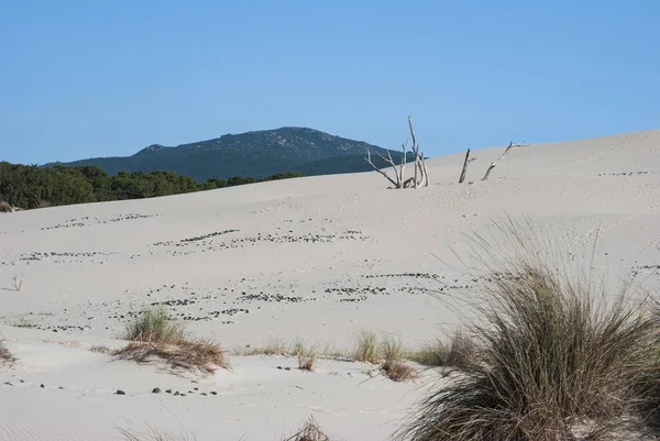 Vita Sanddynerna Arenas Biancas Teulada — Stockfoto