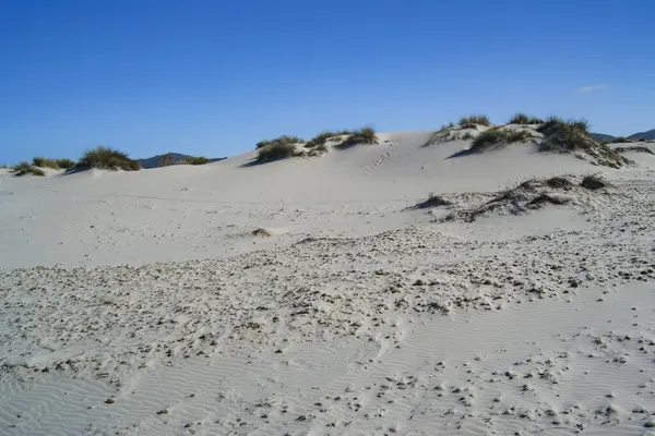 泰拉达 阿丽亚斯 比安卡斯的白色沙丘 — 图库照片