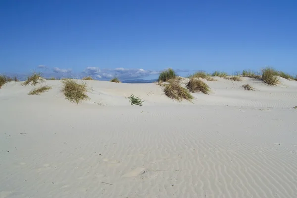 泰拉达 阿丽亚斯 比安卡斯的白色沙丘 — 图库照片
