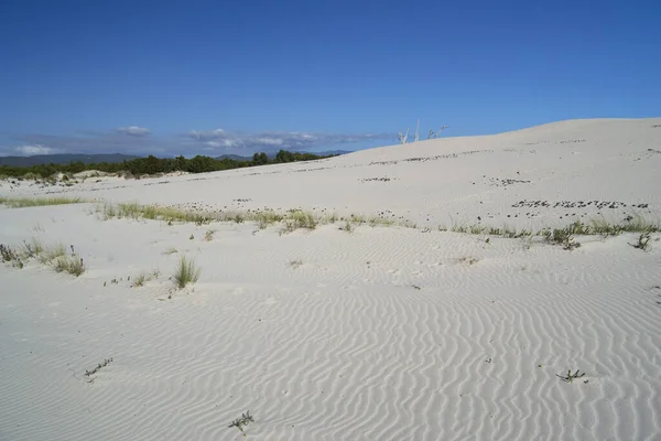 The white dunes of Is Arenas Biancas, Teulada