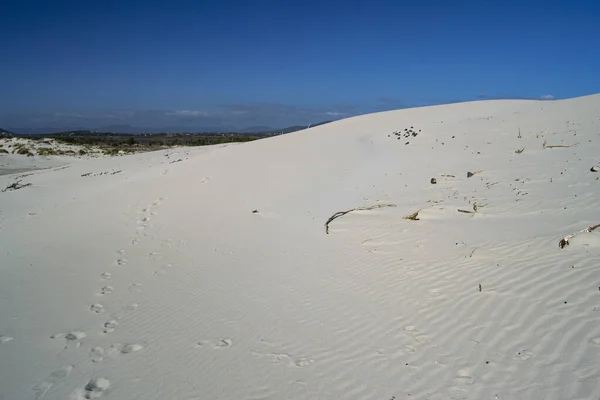 Dune Bianche Arenas Biancas Teulada — Foto Stock