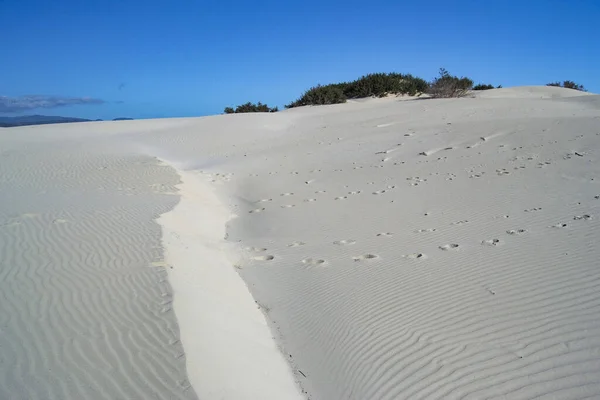 Dune Bianche Arenas Biancas Teulada — Foto Stock