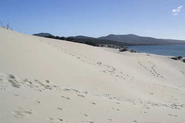 Les Dunes Blanches Arenas Biancas Teulada — Photo