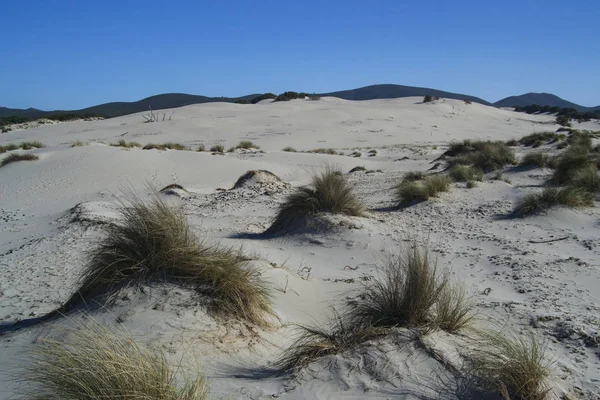 Vita Sanddynerna Arenas Biancas Teulada — Stockfoto