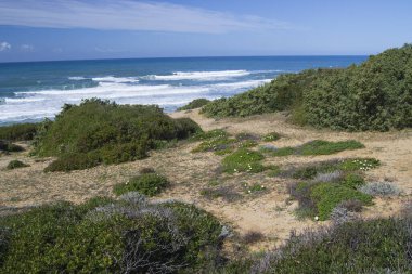 Scivu 'nun kum tepeleri