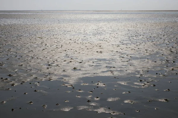 Fondo sabbioso dell'oceano — Foto Stock